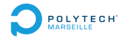 POLYTECH MARSEILLE